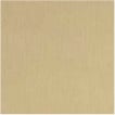Canvas - Red Sand